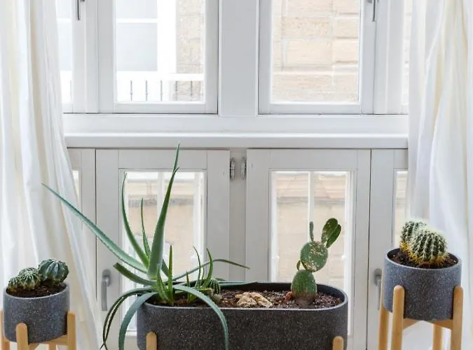 The Queen's Designer By Cadiz4rentals * カディス