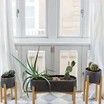 The Queen's Designer By Cadiz4rentals * Cadiz