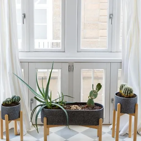 The Queen's Designer By Cadiz4rentals * Cádiz